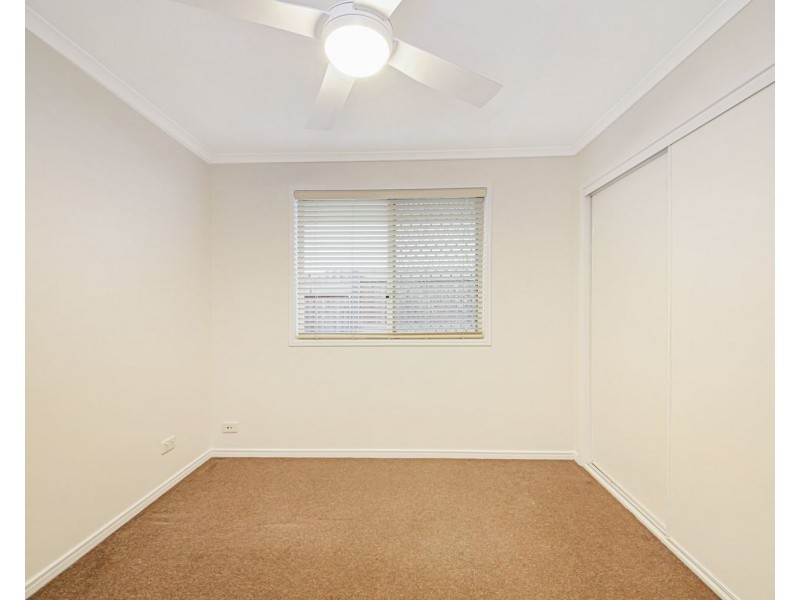 43 Carbeen Street, Bulimba QLD 4171