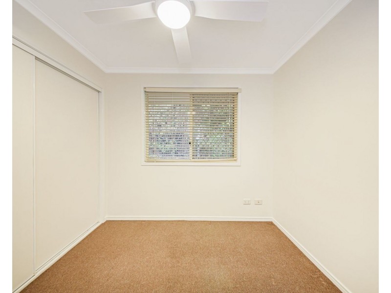 43 Carbeen Street, Bulimba QLD 4171