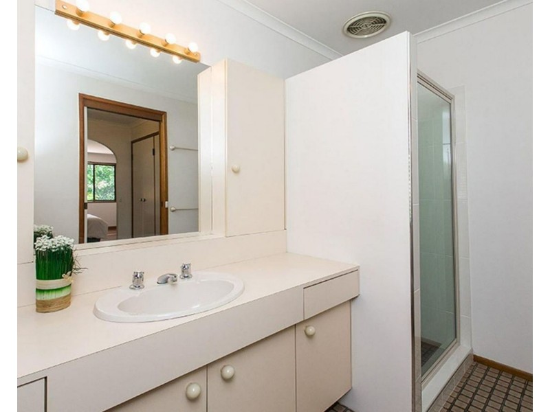 19 Dalton Street, Yeronga QLD 4104
