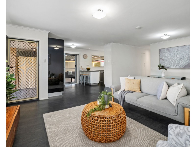 85 Greenmeadow Road, Mansfield QLD 4122