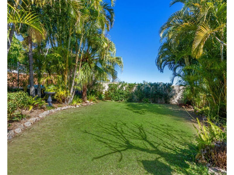 31 Nevin Street, Aspley QLD 4034