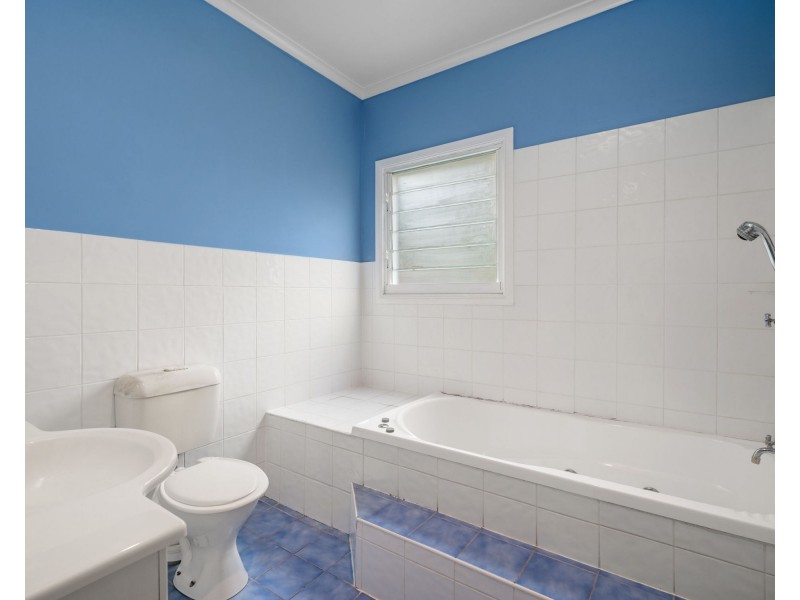 53 Dahlia Street, Cannon Hill QLD 4170