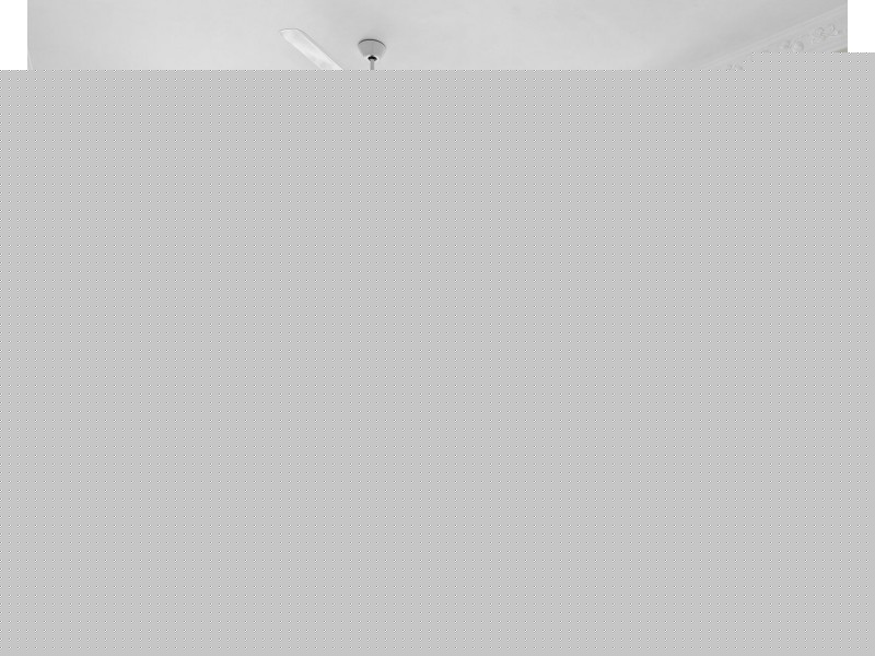 39 Gibson Crescent, Holland Park QLD 4121