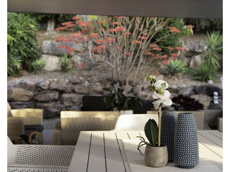 137 Sapphire Street, Holland Park QLD 4121