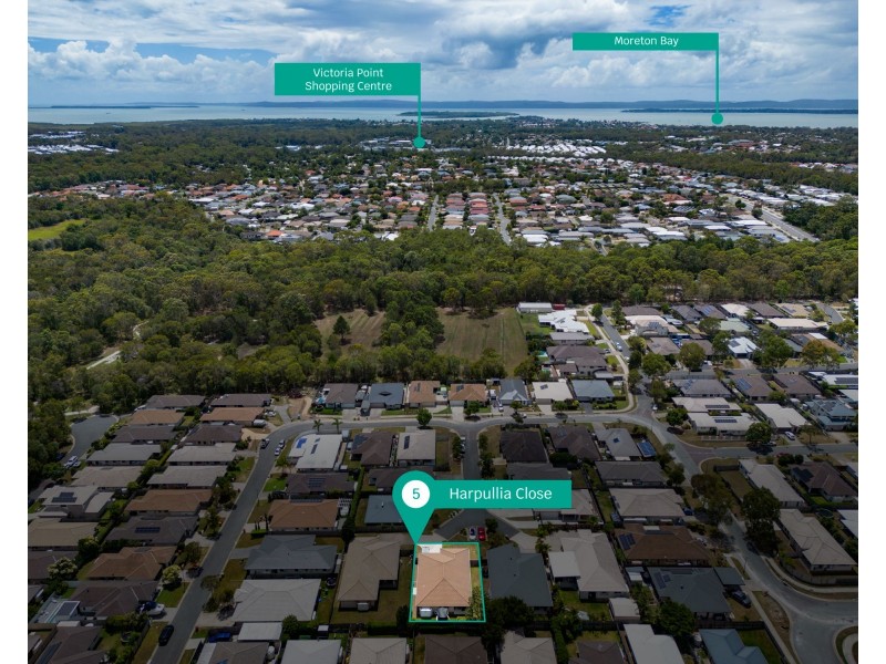 5 Harpullia Close, Victoria Point QLD 4165