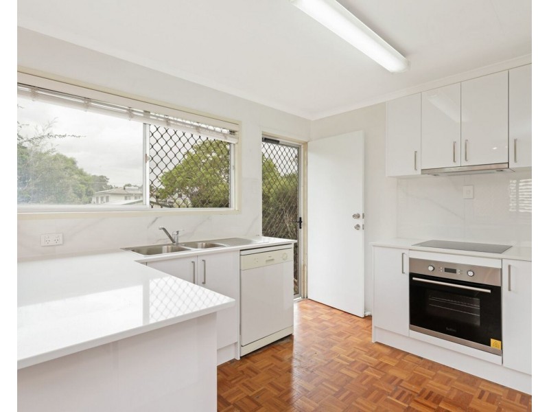 9 Eisley Street, Tingalpa QLD 4173