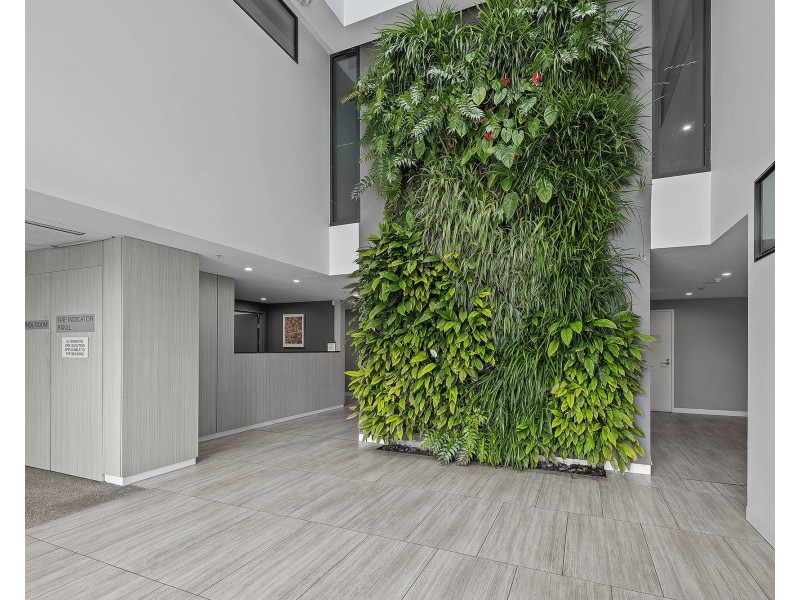 2011/123 Cavendish Road, Coorparoo QLD 4151