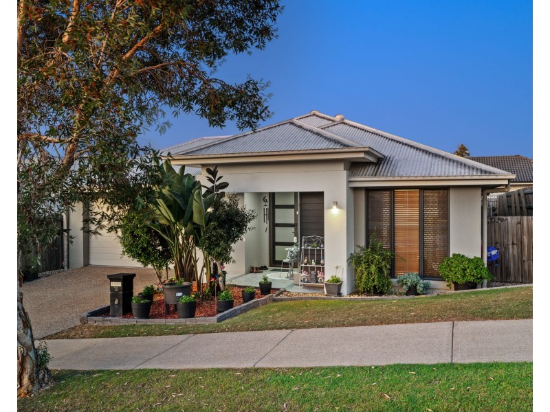 18 Basil Street, Springfield Lakes QLD 4300