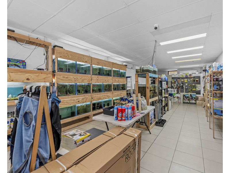 41 Watland Street, Springwood QLD 4127