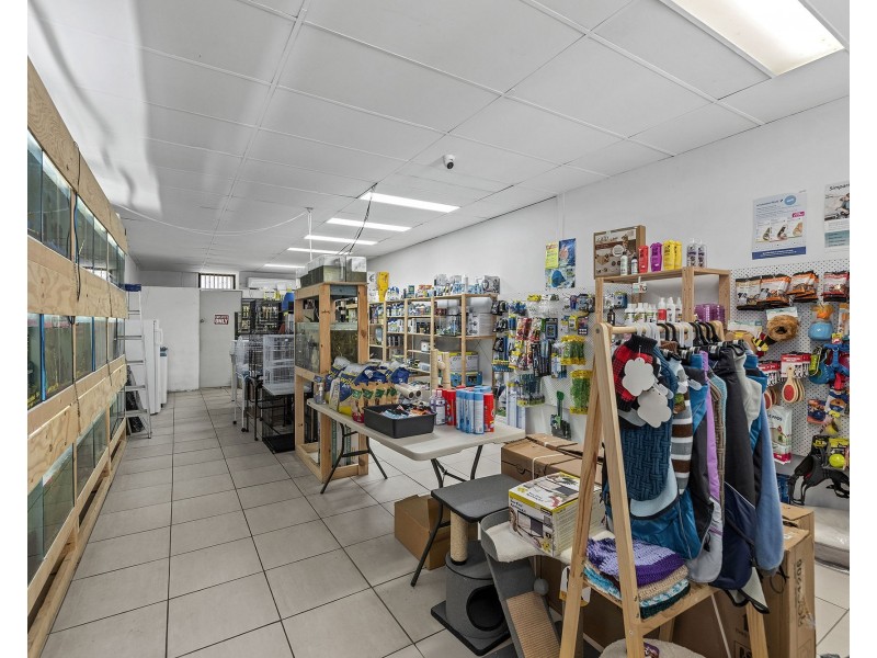 41 Watland Street, Springwood QLD 4127