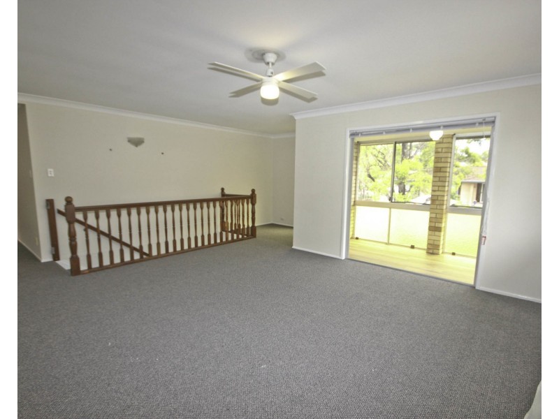 25 Dangar Street, Belmont QLD 4153