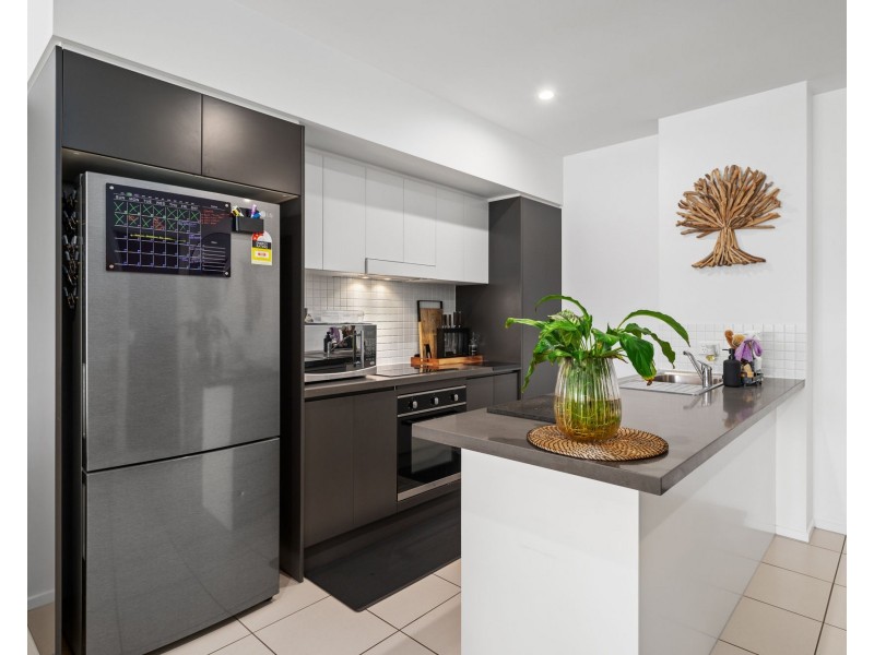 211/8 Holden Street, Woolloongabba QLD 4102