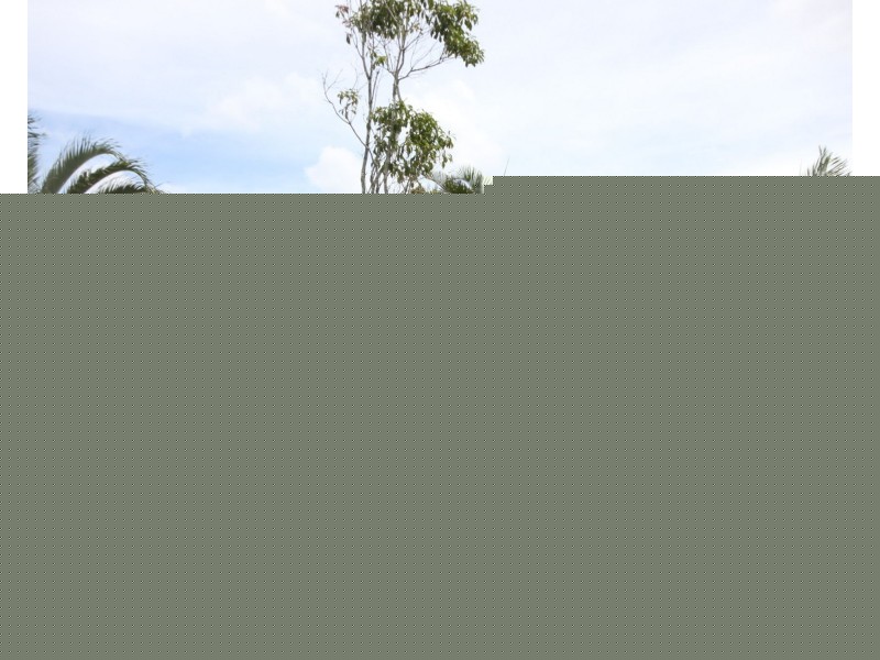 37 Pittwin Road South, Capalaba QLD 4157