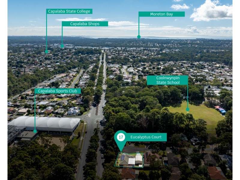 17 Eucalyptus Court, Capalaba QLD 4157