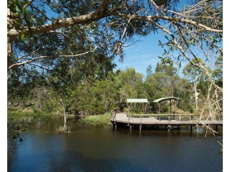 9/81 Halstead Street, Coorparoo QLD 4151