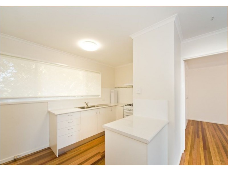 3/52 Nelson street, Coorparoo QLD 4151
