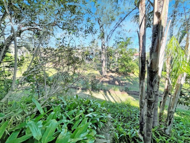 39 Solar Street, Coorparoo QLD 4151