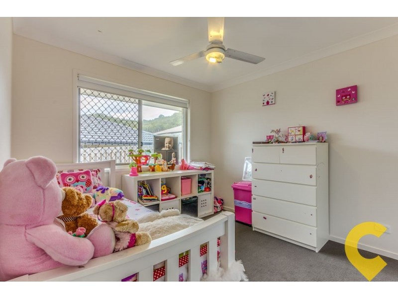 53 Breezeway Drive, Bahrs Scrub QLD 4207