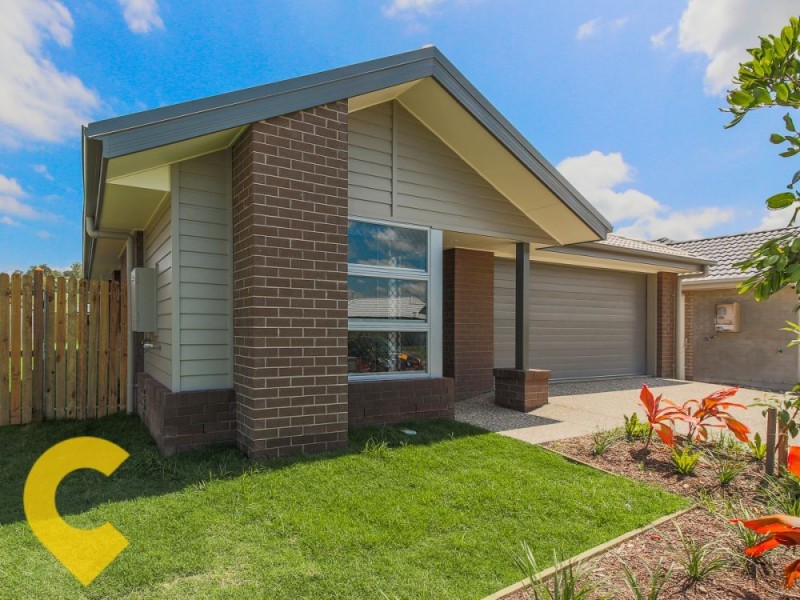 4 Denham Cct, Willow Vale QLD 4209