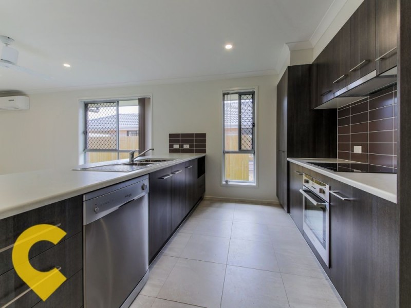4 Denham Cct, Willow Vale QLD 4209
