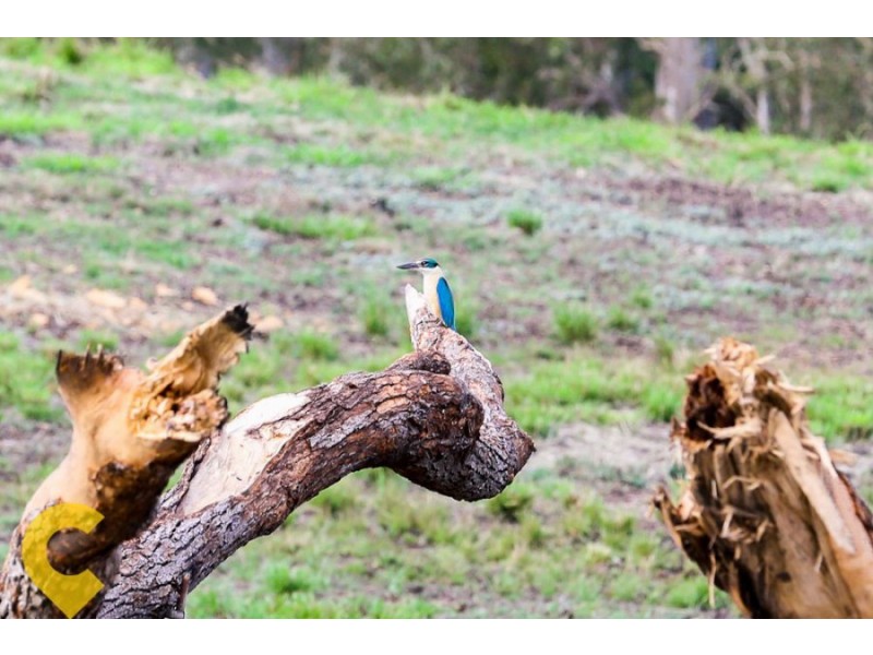 Lot 26 Evergreen Drive, Stockleigh QLD 4280