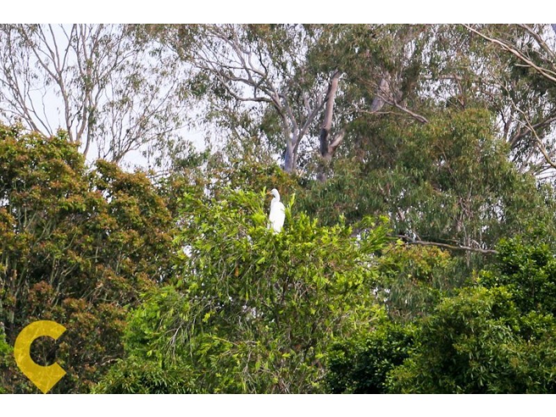 Lot 26 Evergreen Drive, Stockleigh QLD 4280