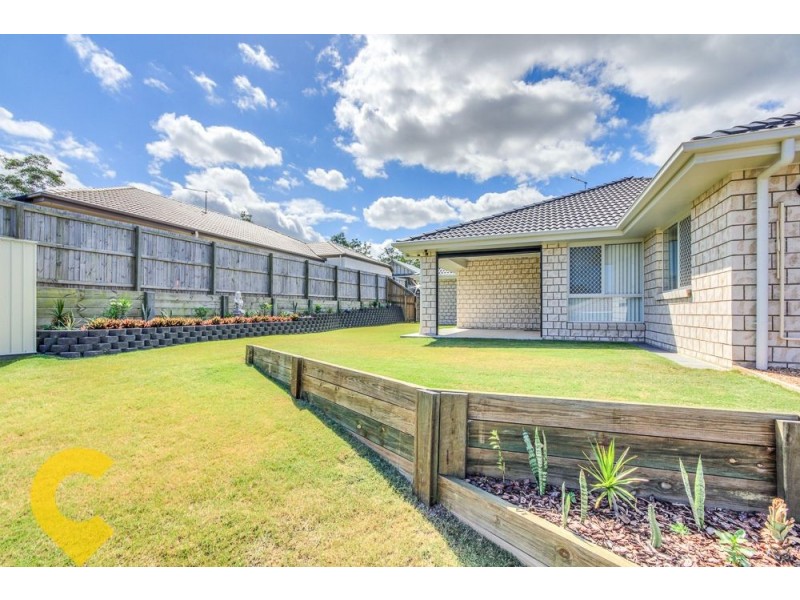 31 Frankland Ave, Waterford QLD 4133
