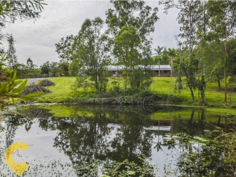 79 Holyrood Road, Maudsland QLD 4210