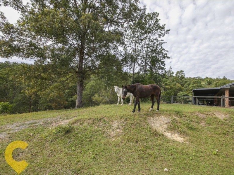 79 Holyrood Road, Maudsland QLD 4210