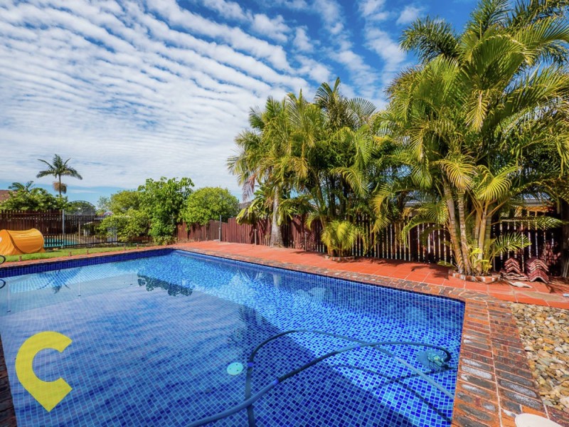 19 Celadon Street, Sunnybank Hills QLD 4109