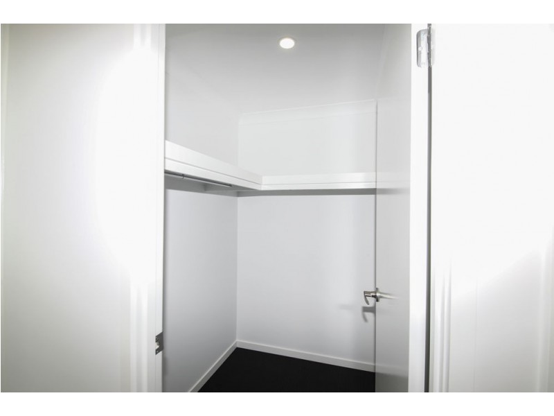 16 Harvard Street, Pimpama QLD 4209