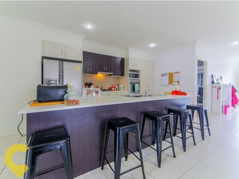 3 Sandpiper Court, Upper Coomera QLD 4209