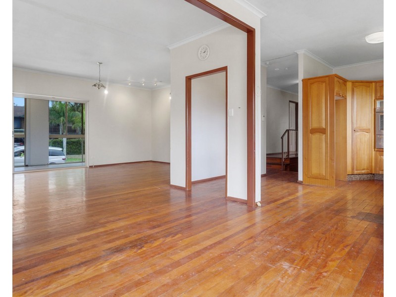 14 Lauretta Avenue, Springwood QLD 4127