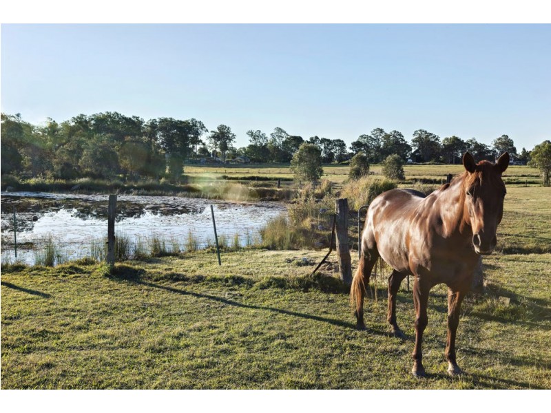 34 Burows Road, Alberton QLD 4207