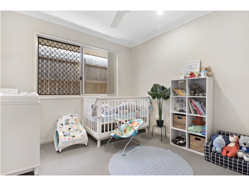 17 Kuranda Street, Waterford QLD 4133