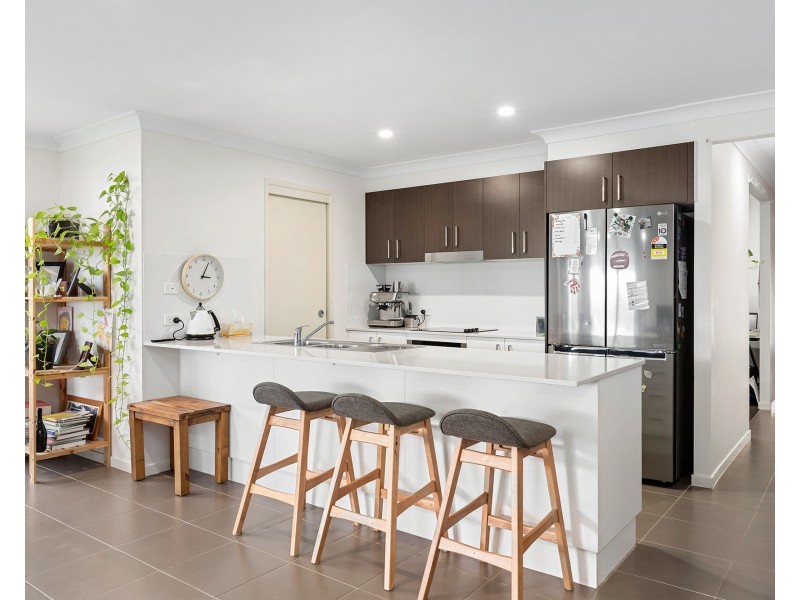 20 Arctic Street, Thornlands QLD 4164