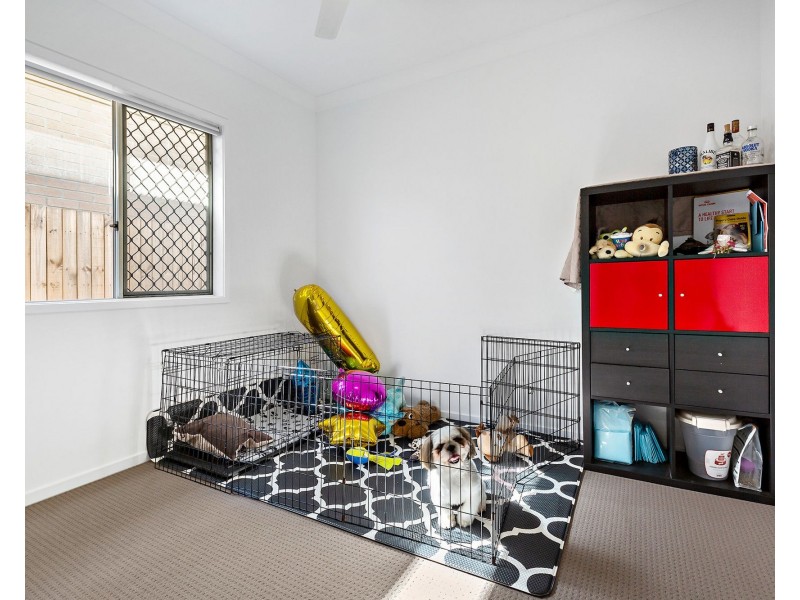 9 Mount Pleasant Street, Park Ridge QLD 4125