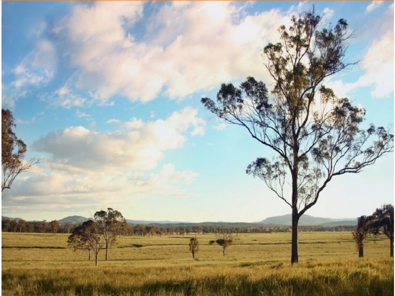 Cedar Grove QLD 4285