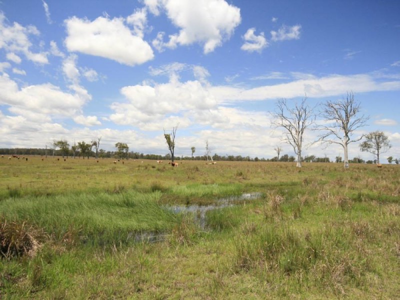 Cedar Grove QLD 4285