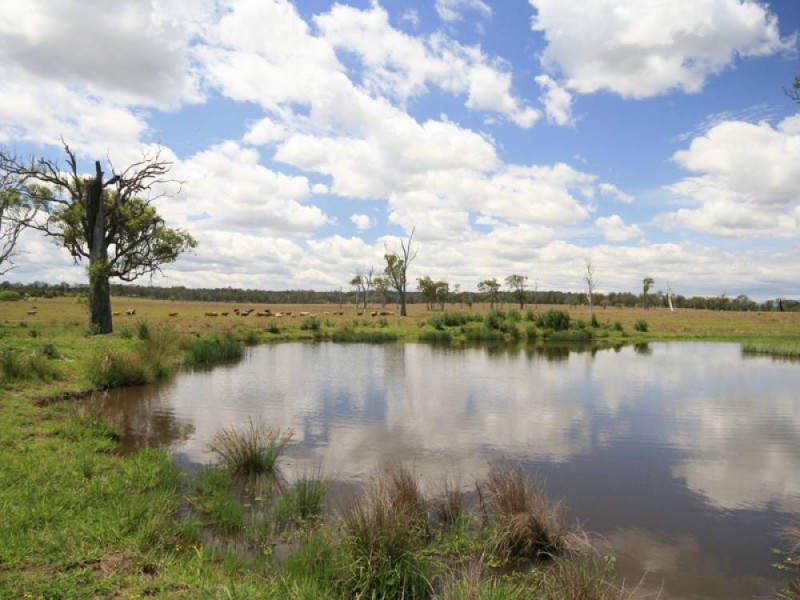 Cedar Grove QLD 4285