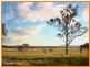 Cedar Grove QLD 4285