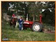 Cedar Grove QLD 4285