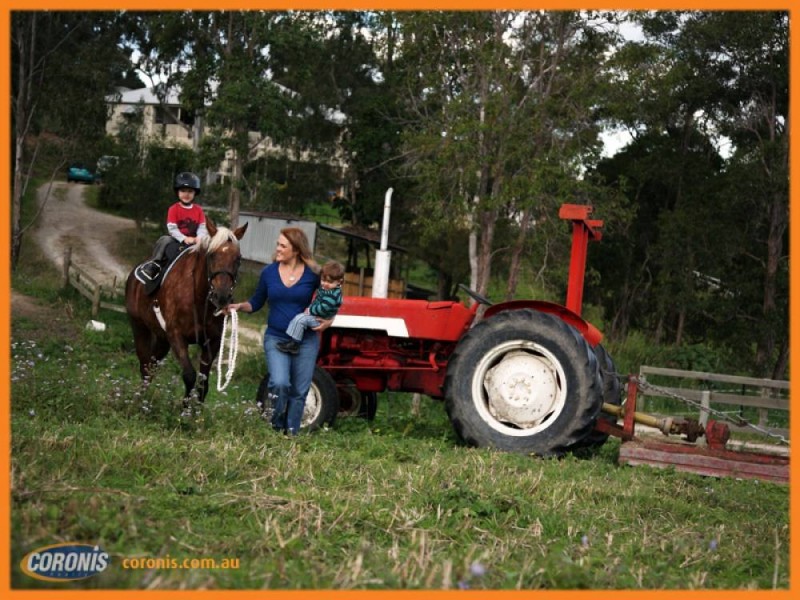 Cedar Grove QLD 4285