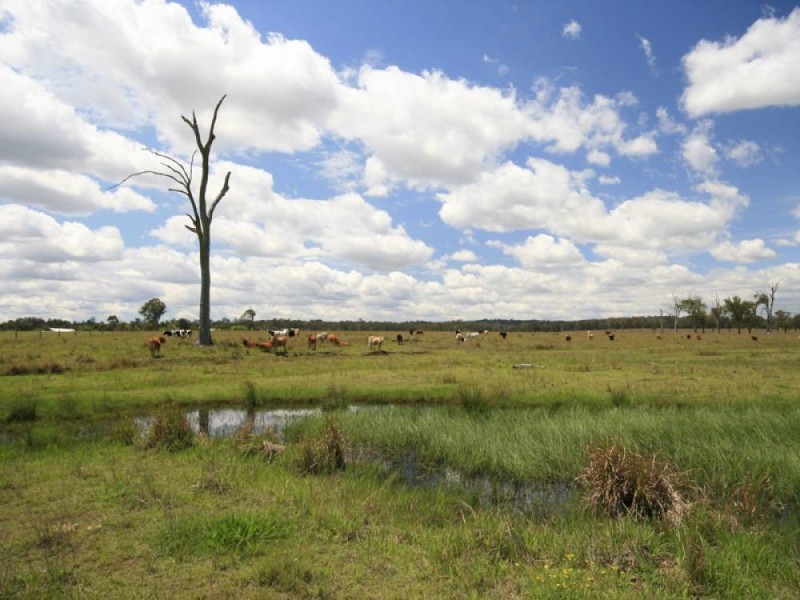 Cedar Grove QLD 4285