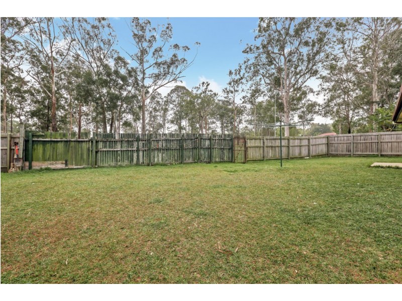 53 Anchusa Street, Kingston QLD 4114