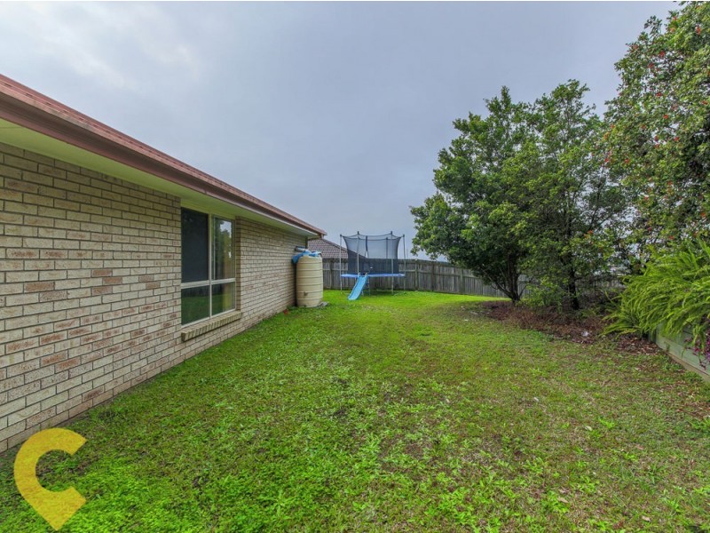 14 Cashew Court, Upper Coomera QLD 4209
