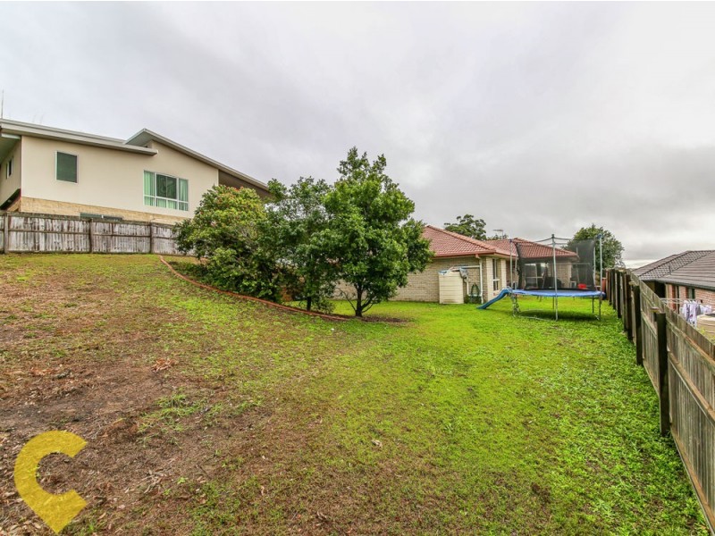 14 Cashew Court, Upper Coomera QLD 4209
