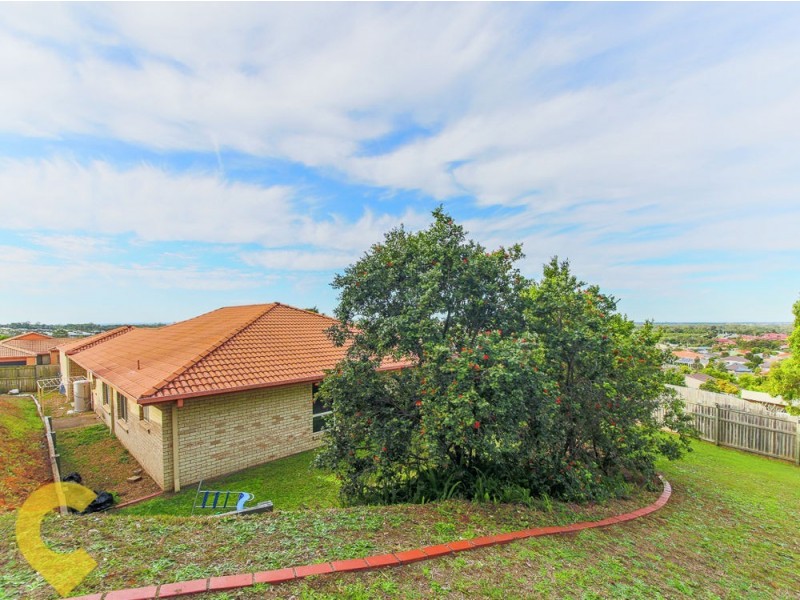 14 Cashew Court, Upper Coomera QLD 4209