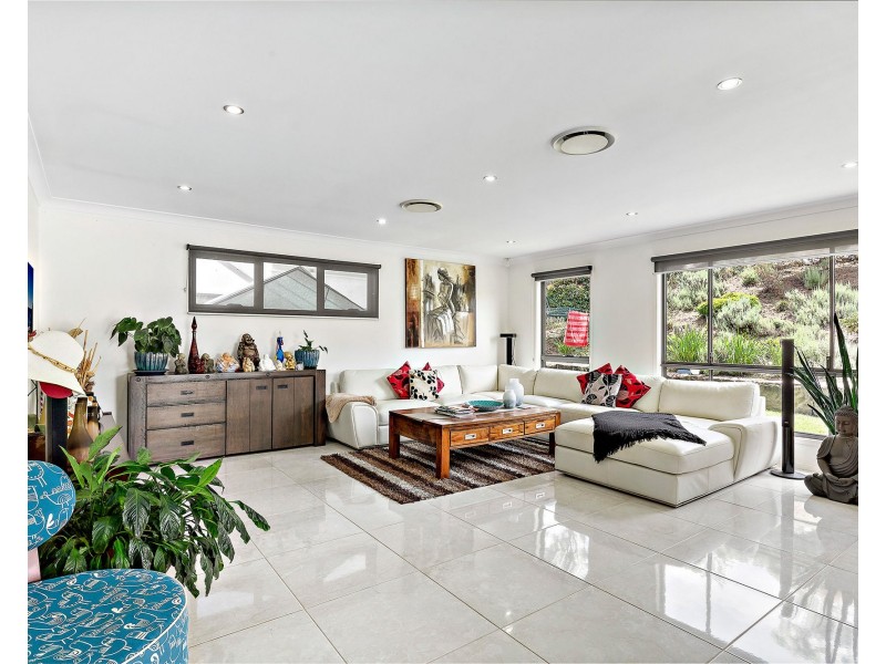 17 Macleay Cct, Upper Coomera QLD 4209