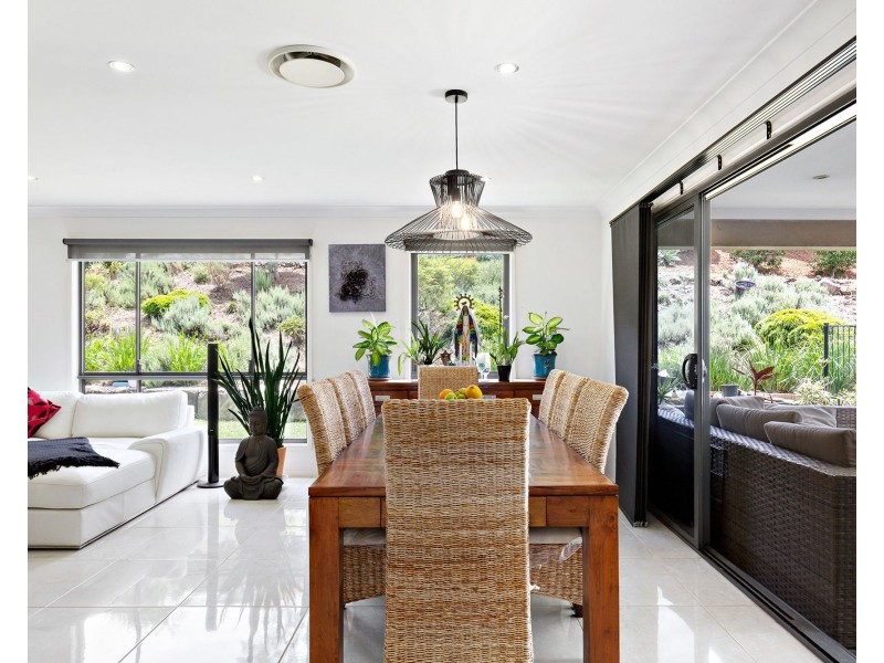 17 Macleay Cct, Upper Coomera QLD 4209